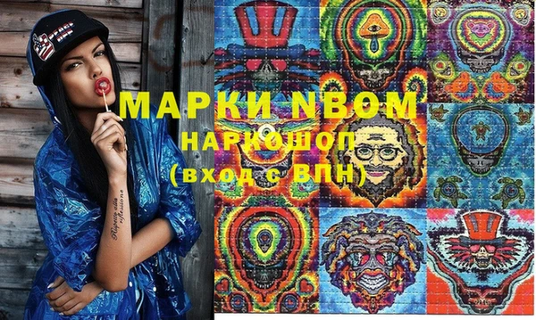 мдпв Горнозаводск