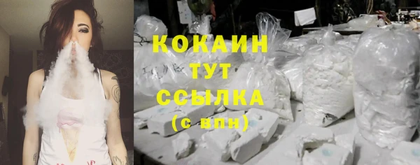 винт Гусев