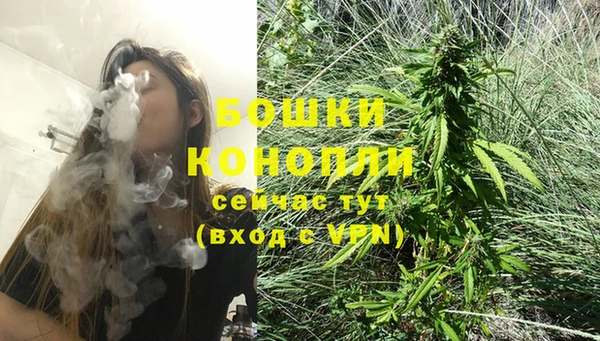 мдпв Горнозаводск
