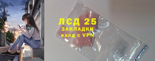 мдпв Горнозаводск